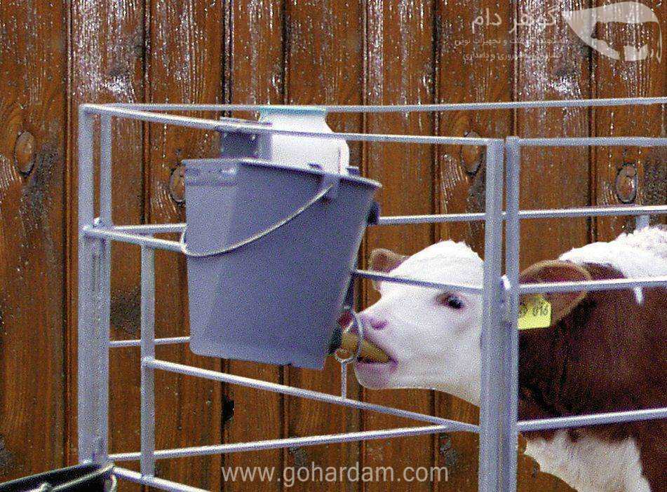 شیردهی گوساله با سطل‌های 8 لیتری کربل (KERBL 8lit feeding bucket)