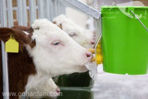سطل شیر گوساله کربل آلمان با مکانیزم بهداشتی (KERBL Calf Bucket with Hygienic Valve)